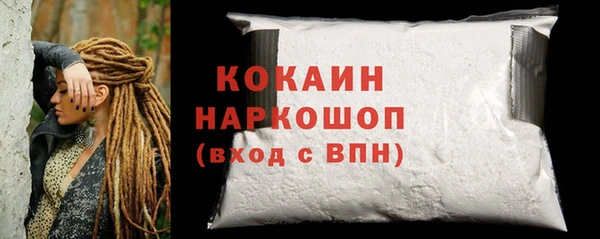 индика Магас
