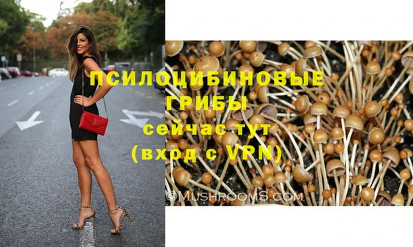 индика Магас