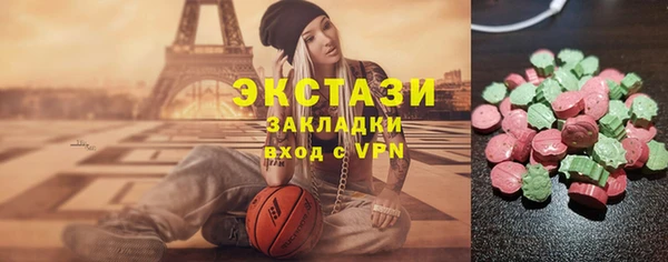 индика Магас