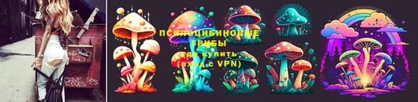 ешки Магадан