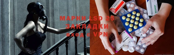 индика Магас