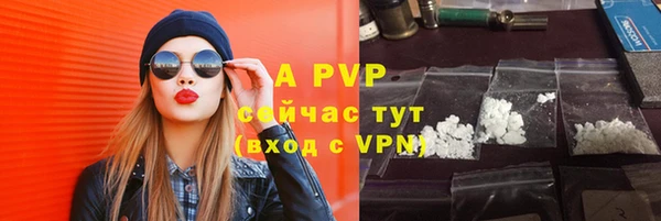 индика Магас