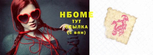 индика Магас