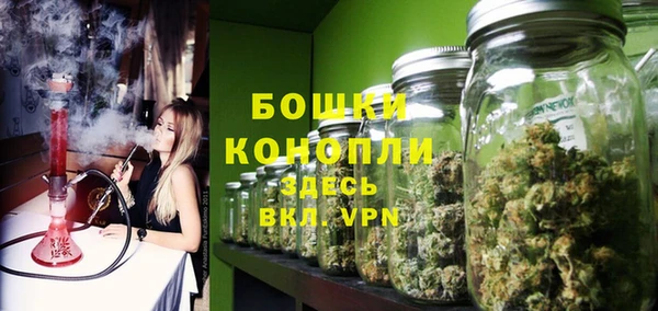 индика Магас