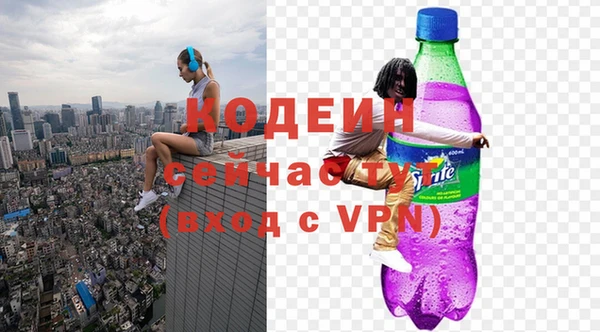 индика Магас