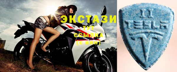 индика Магас