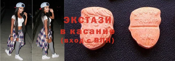 индика Магас