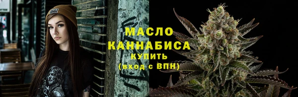 индика Магас